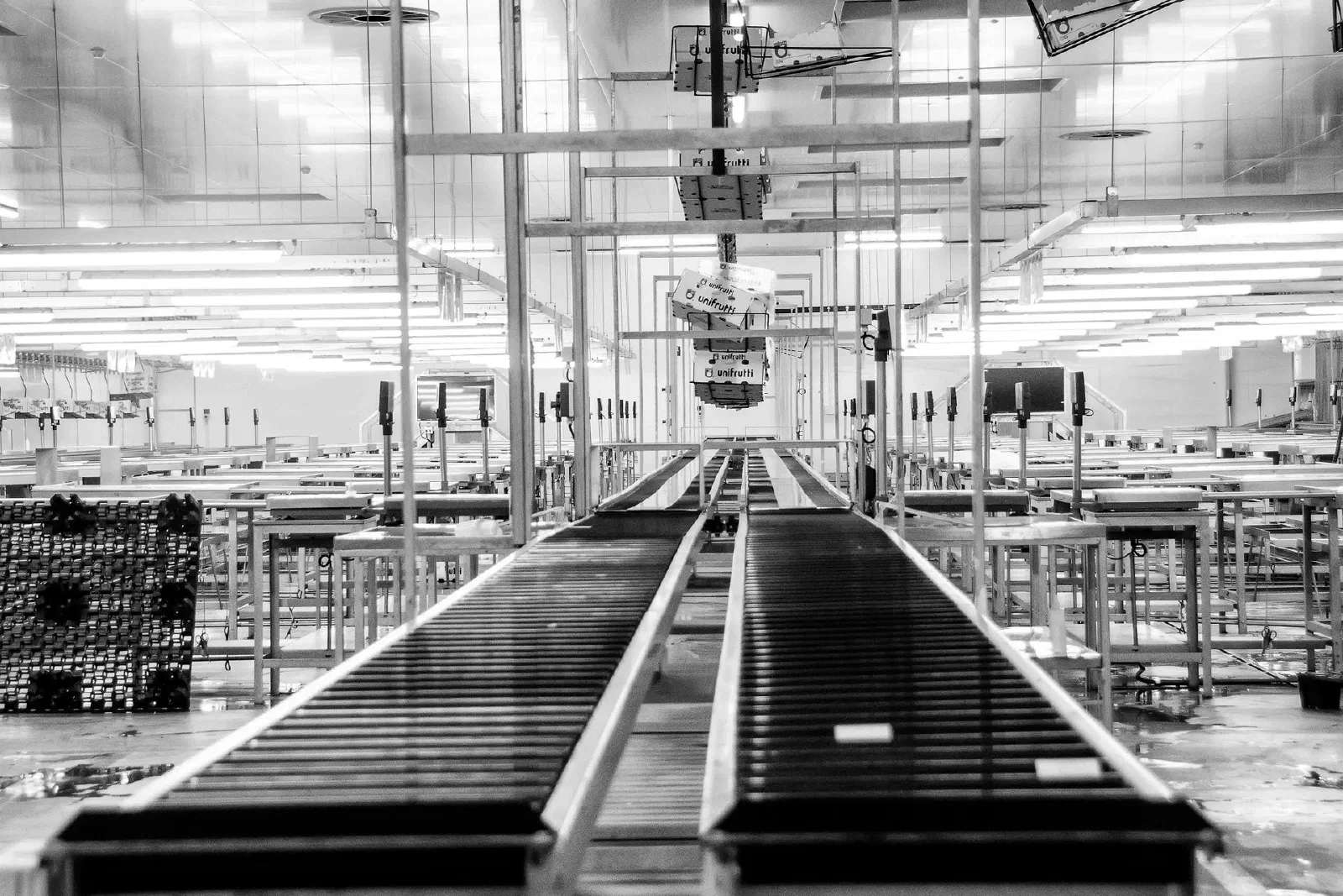 Modern conveyor system in a monochrome industrial factory setting